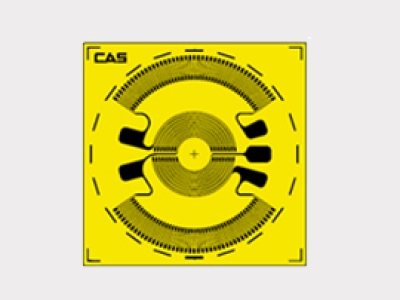 韓國CAS凱士Diaphragm D-Series  應變器