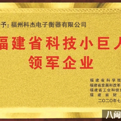 福州科杰電子衡器有限公司榮獲 2020年福建省科技小巨人領(lǐng)軍企業(yè)等榮譽(yù)稱(chēng)號(hào)